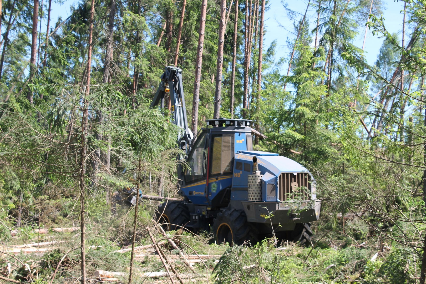 Продолжается разработка ветровально-буреломных насаждений