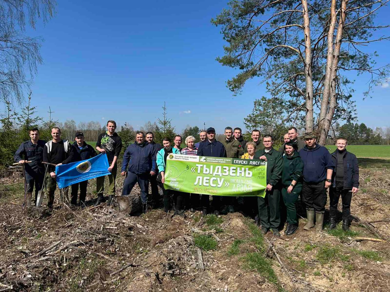 Акция "Неделя леса" проходит в Глусском лесхозе