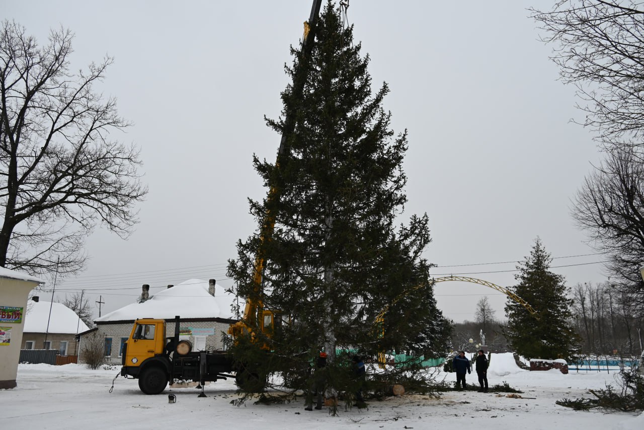 В Глуске установили главную елку.