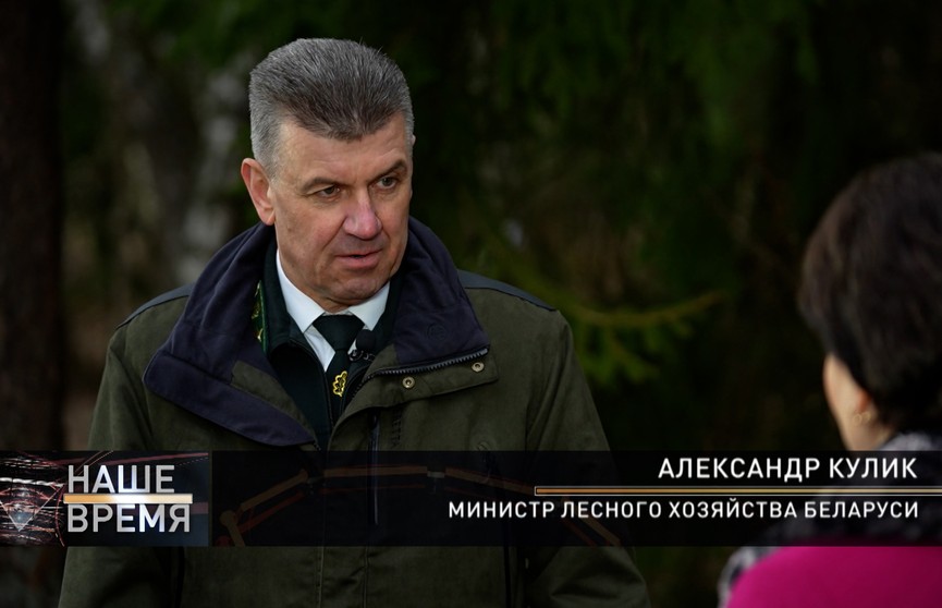 Александр Кулик: "Наша страна за годы суверенитета смогла не только сохранить, но и преумножить лесные богатства"