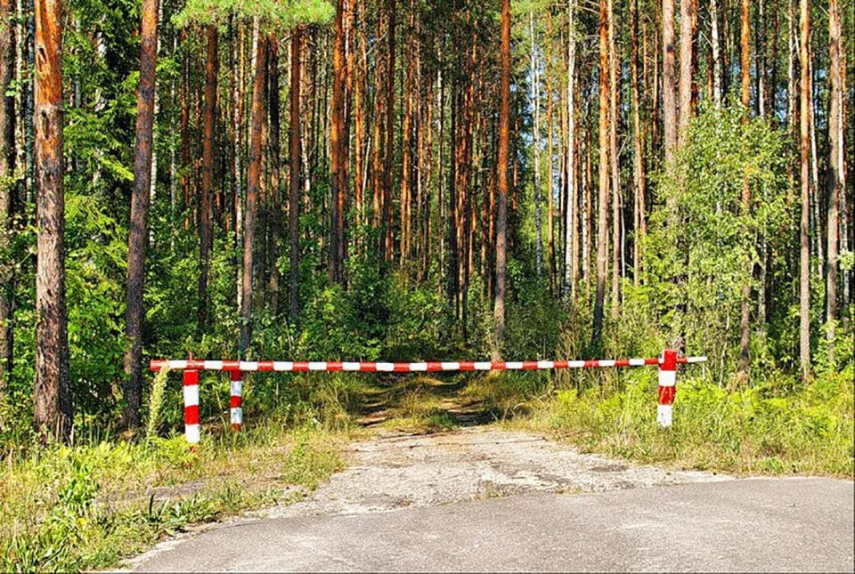 ОГРАНИЧЕНИЕ НА ПОСЕЩЕНИЕ ЛЕСОВ ВВЕДЕНО В ГЛУССКОМ РАЙОНЕ