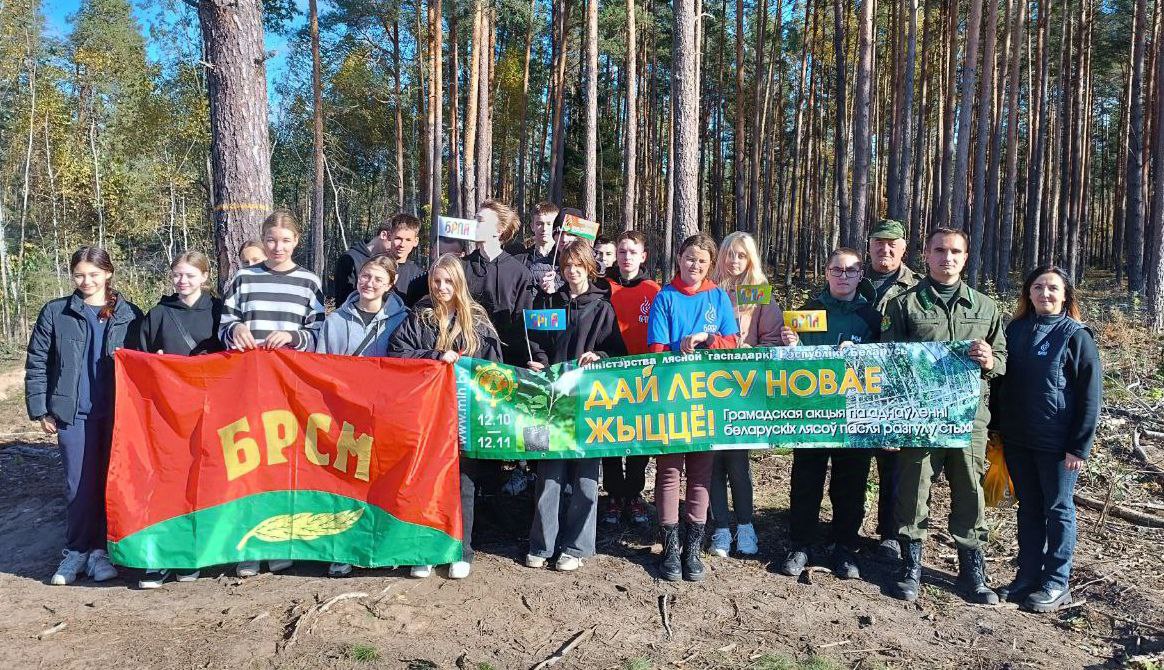 Добровольная акция «Дай лесу новае жыццё!» продолжается в Глусском районе